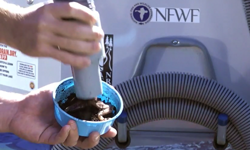 Disposal of bait using boat decontamination station. 