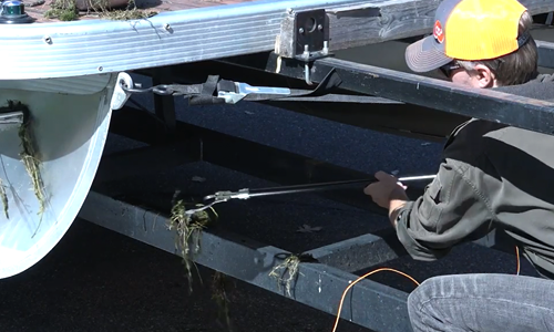 Grabbers used to prevent the spread of invasive species. 